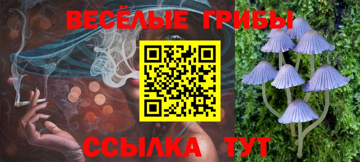 Псилоцибиновые грибы ЛСД  Вход с VPN  Грозный 