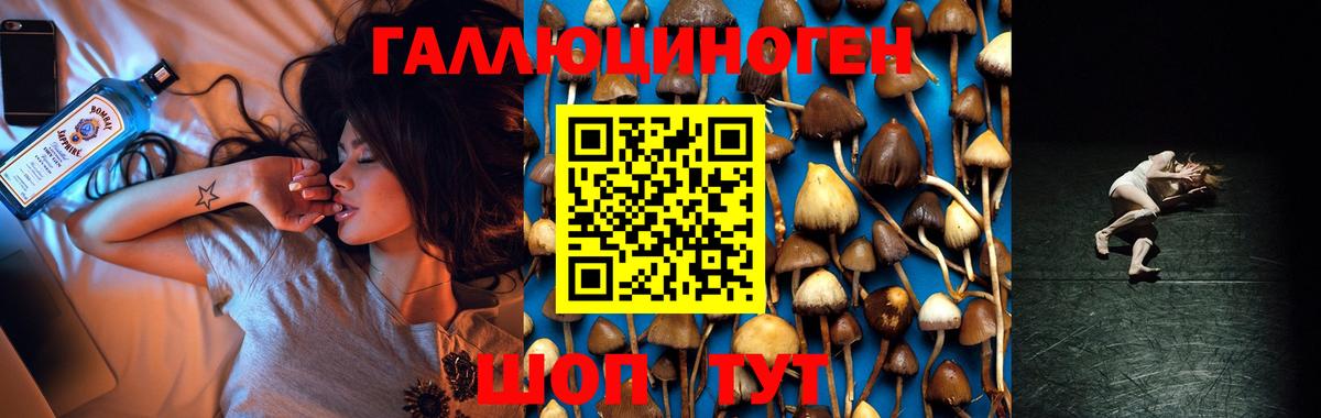Псилоцибиновые грибы мицелий Грозный