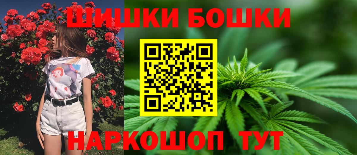 Канабис сатива Грозный